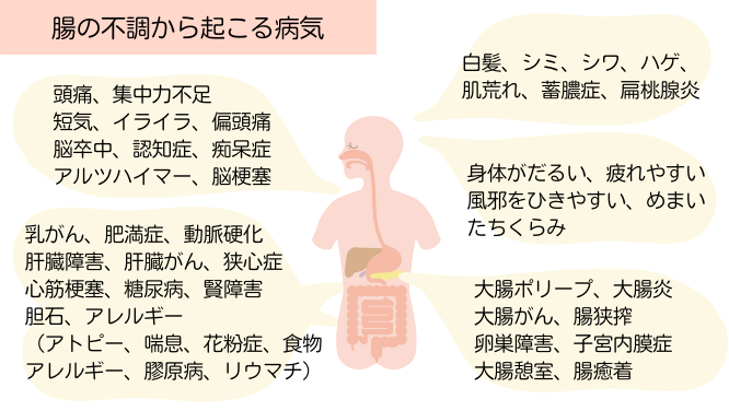 腸の不調から起こる病気